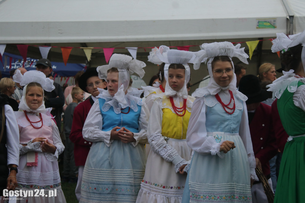 Festiwal Tradycji i Folkloru w Domachowie