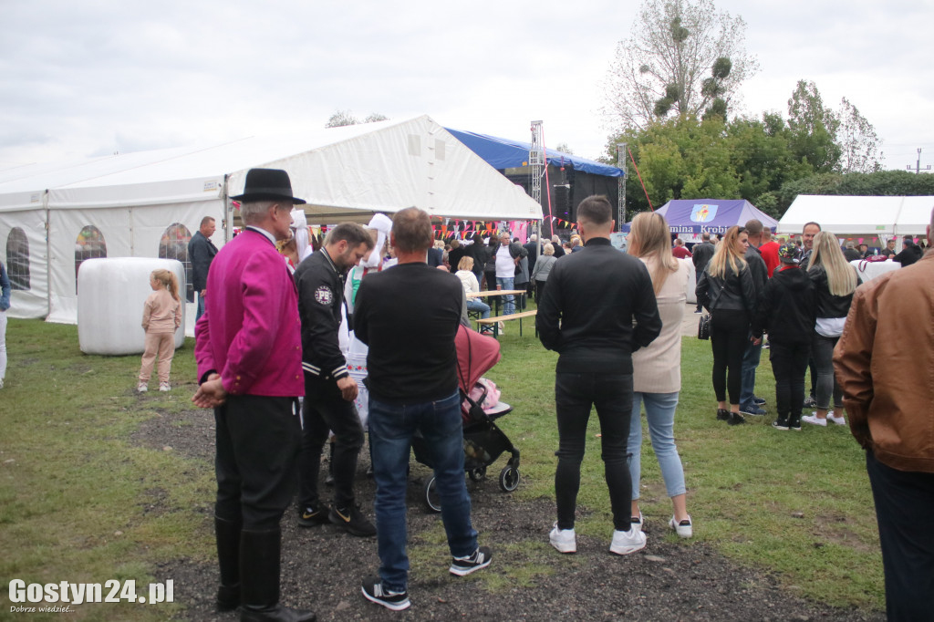 Festiwal Tradycji i Folkloru w Domachowie