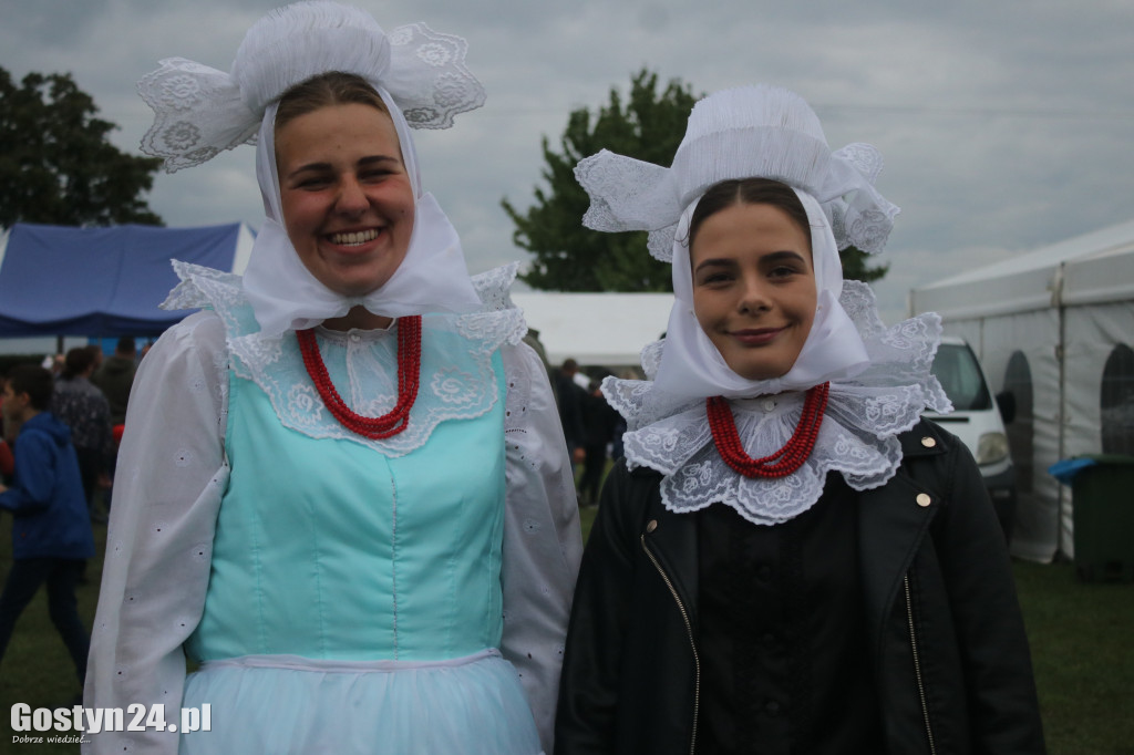 Festiwal Tradycji i Folkloru w Domachowie