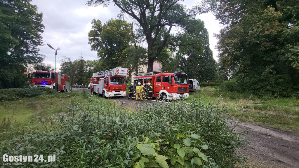 Pożar pałacu w Wydawach, gmina Poniec