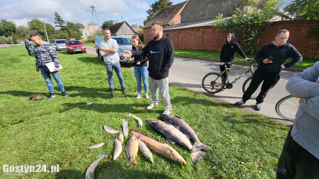 Śnięte ryby w strawie w Kromolicach