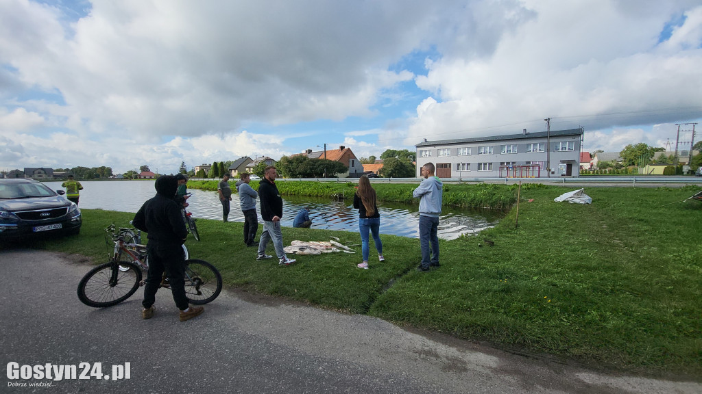Śnięte ryby w strawie w Kromolicach