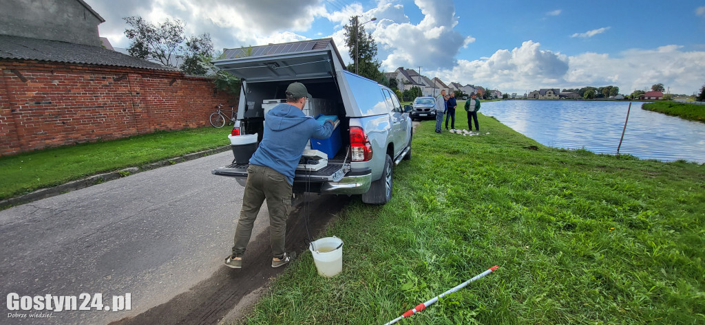 Śnięte ryby w strawie w Kromolicach