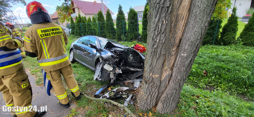 Samochód uderzył w drzewo w Brzeziu