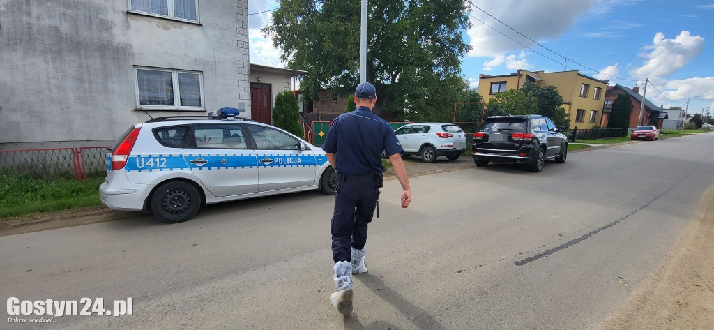 Zwierzęta zagłodzone na śmierć w podgostyńskim Osowie?