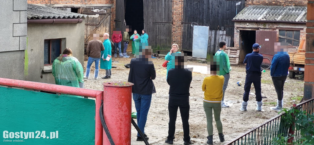 Zwierzęta zagłodzone na śmierć w podgostyńskim Osowie?