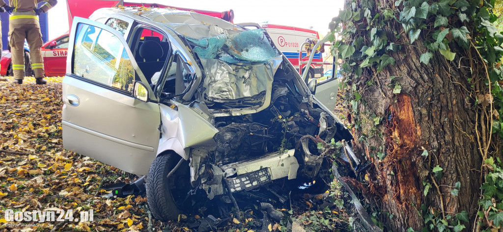 Śmiertelny wypadek w Gębicach