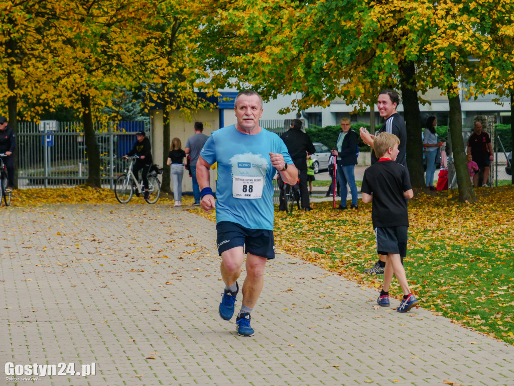Gostyński Festiwal Biegowy 5km