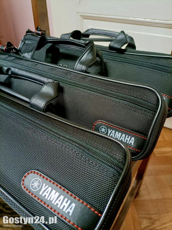 Nowe instrumenty dla ponieckiej orkiestry