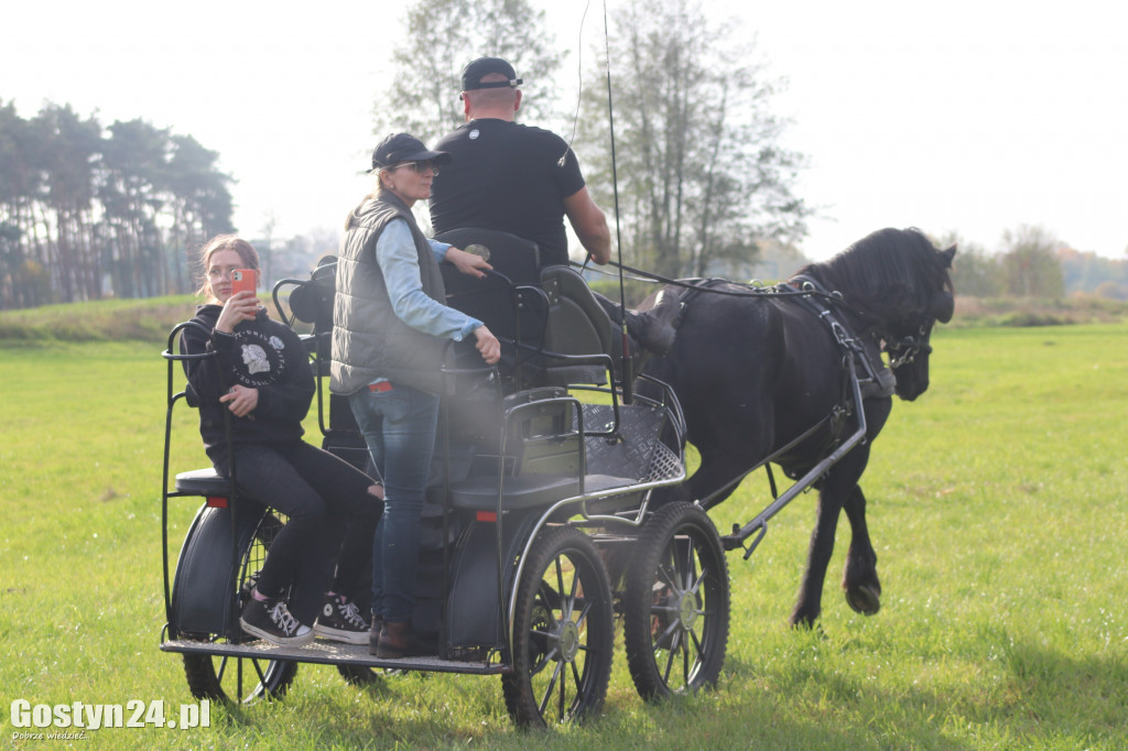 Drugi Hubertus w podponieckich Drtzewcach