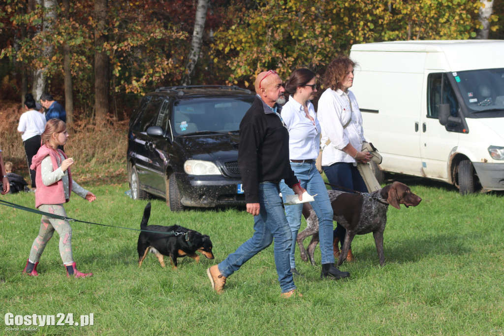 Drugi Hubertus w podponieckich Drtzewcach