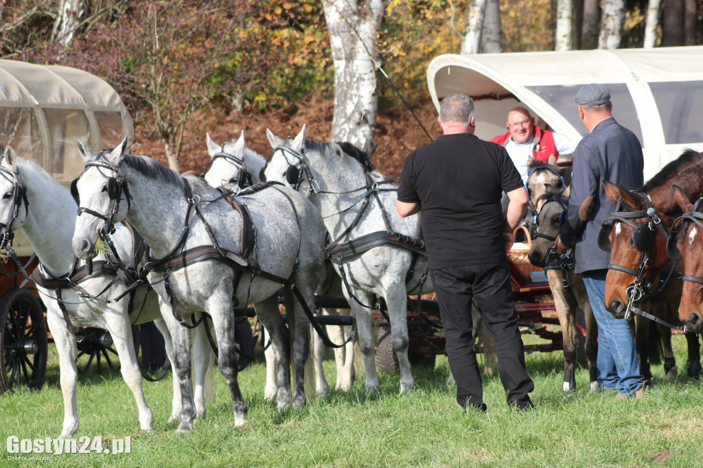 Drugi Hubertus w podponieckich Drtzewcach