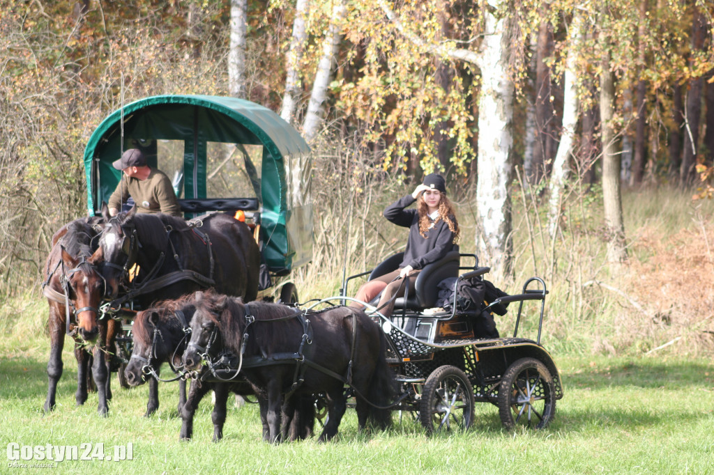 Drugi Hubertus w podponieckich Drtzewcach