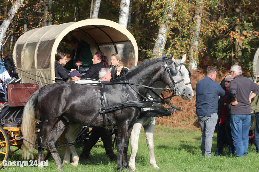 Drugi Hubertus w podponieckich Drtzewcach