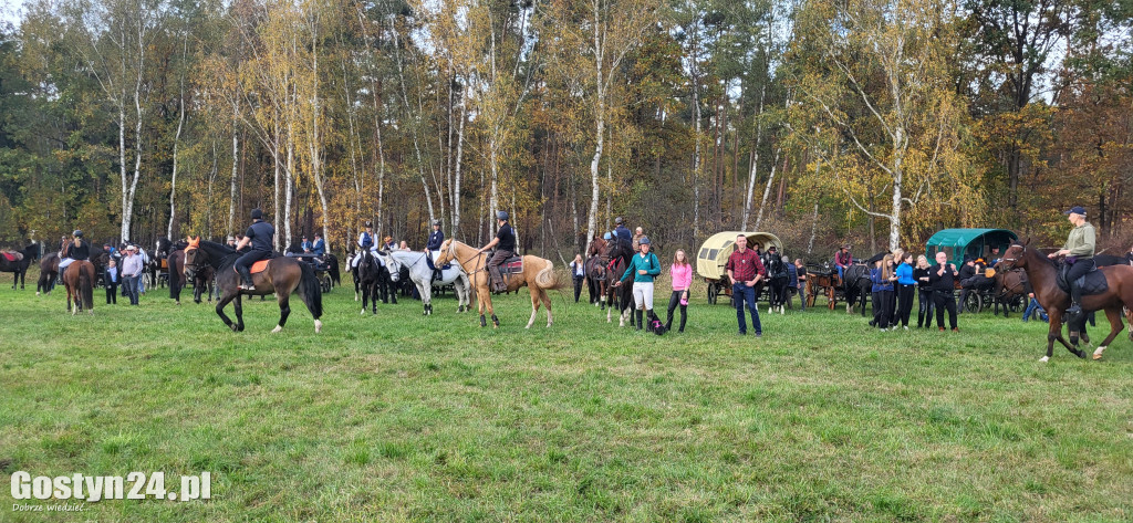 Drugi Hubertus w podponieckich Drtzewcach