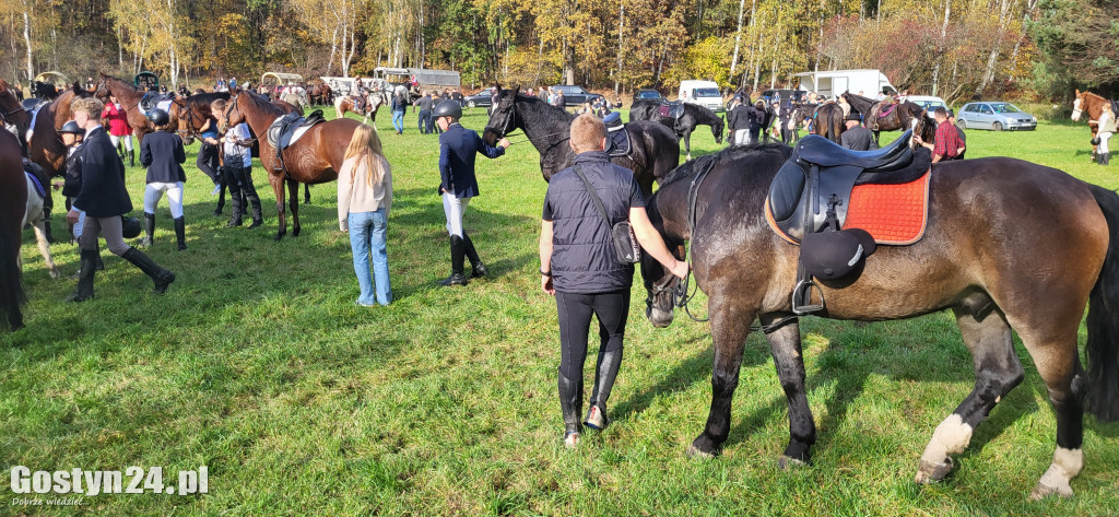 Drugi Hubertus w podponieckich Drtzewcach