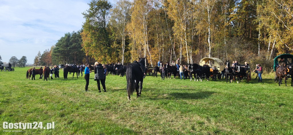 Drugi Hubertus w podponieckich Drtzewcach