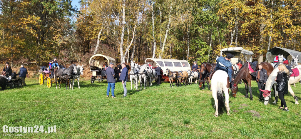 Drugi Hubertus w podponieckich Drtzewcach