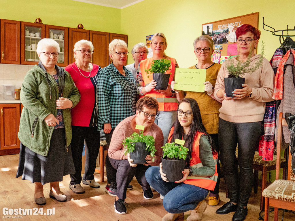 Podsumowanie projektu Eko-Mondi