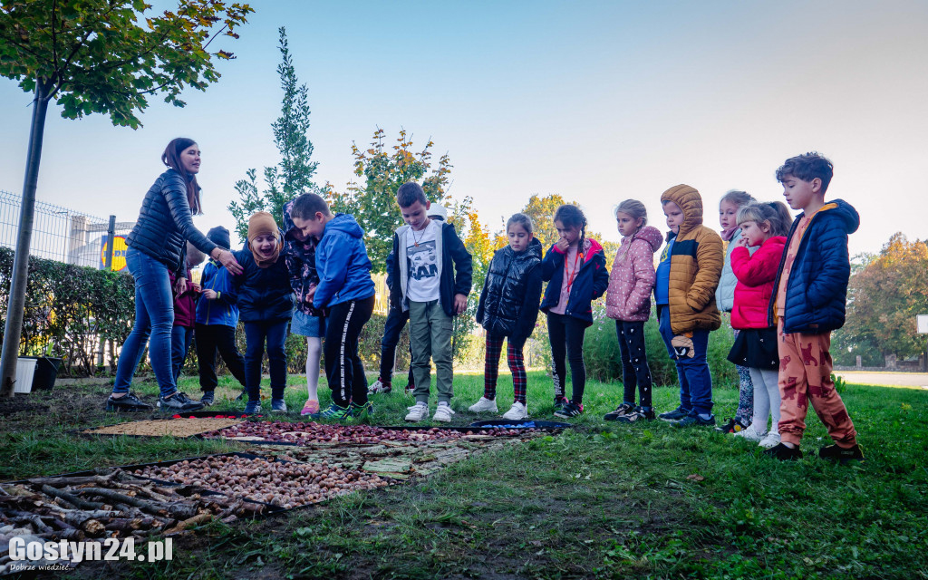 Podsumowanie projektu Eko-Mondi
