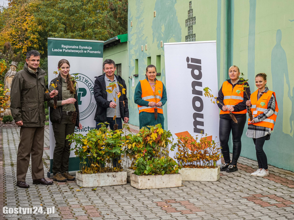 Podsumowanie projektu Eko-Mondi