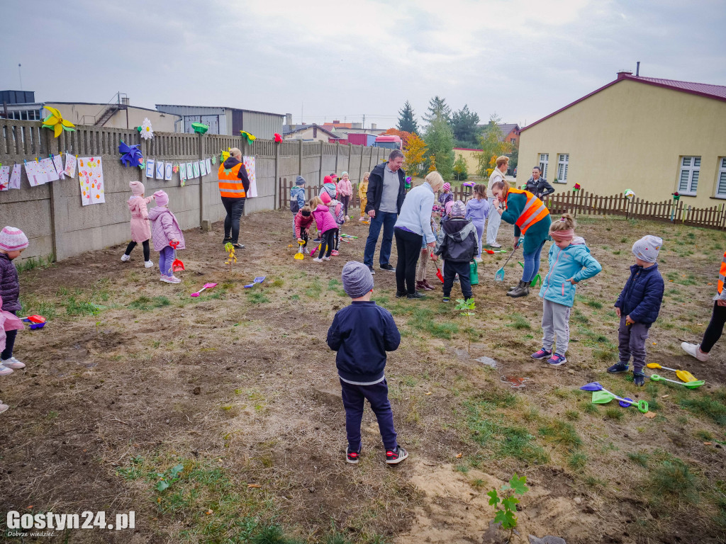 Podsumowanie projektu Eko-Mondi