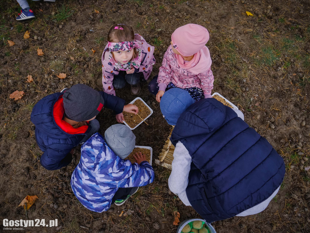 Podsumowanie projektu Eko-Mondi