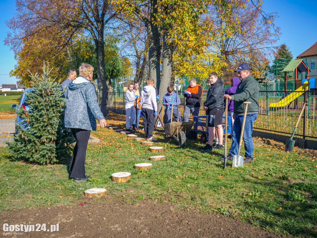 Podsumowanie projektu Eko-Mondi