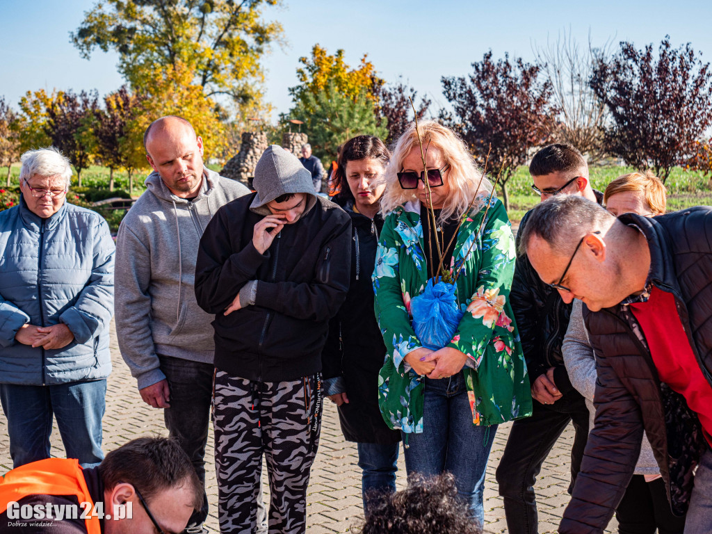 Podsumowanie projektu Eko-Mondi