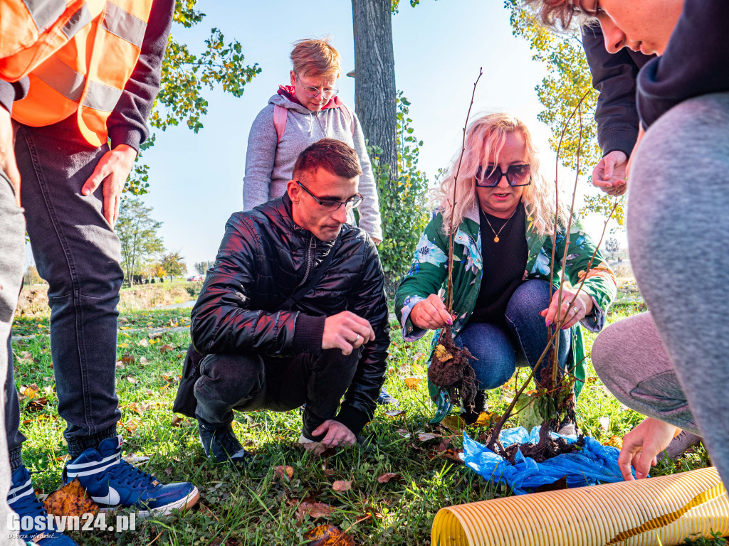 Podsumowanie projektu Eko-Mondi