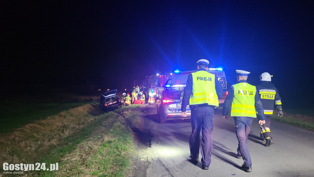 Zdarzenie drogowe na trasie Pogorzela-Krotoszyn