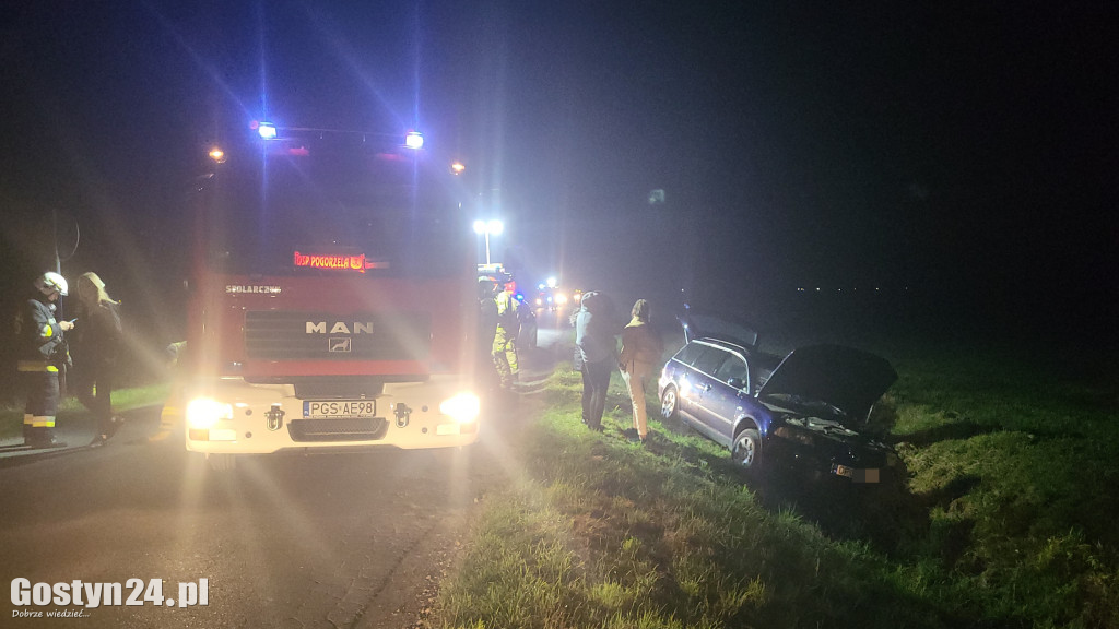Zdarzenie drogowe na trasie Pogorzela-Krotoszyn