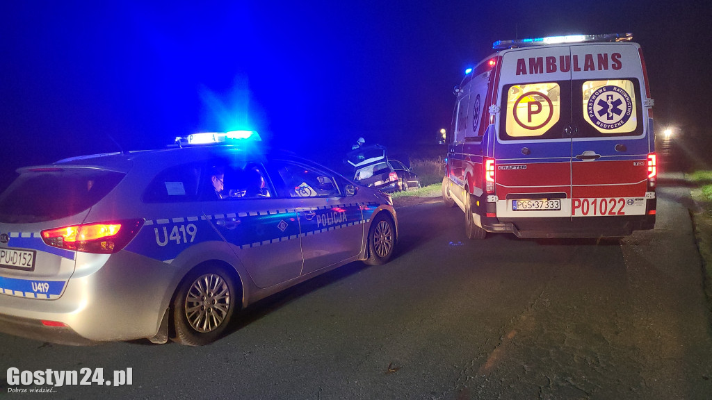 Zdarzenie drogowe na trasie Pogorzela-Krotoszyn