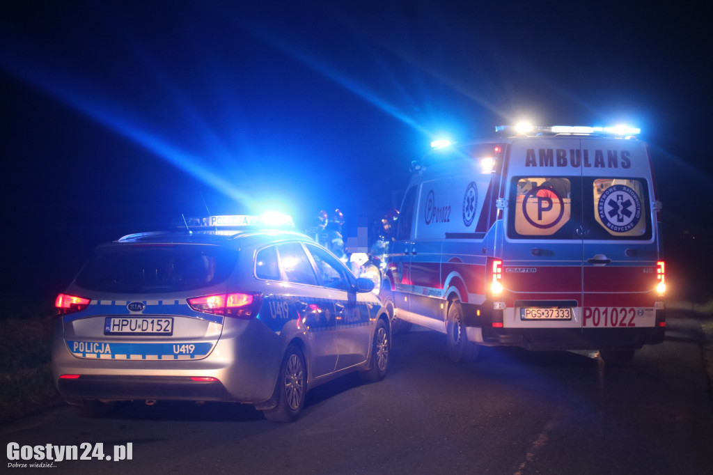 Zdarzenie drogowe na trasie Pogorzela-Krotoszyn