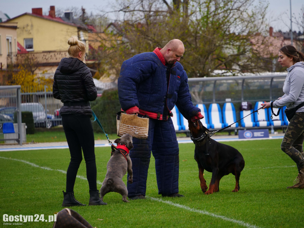 Finał Pucharu Polski