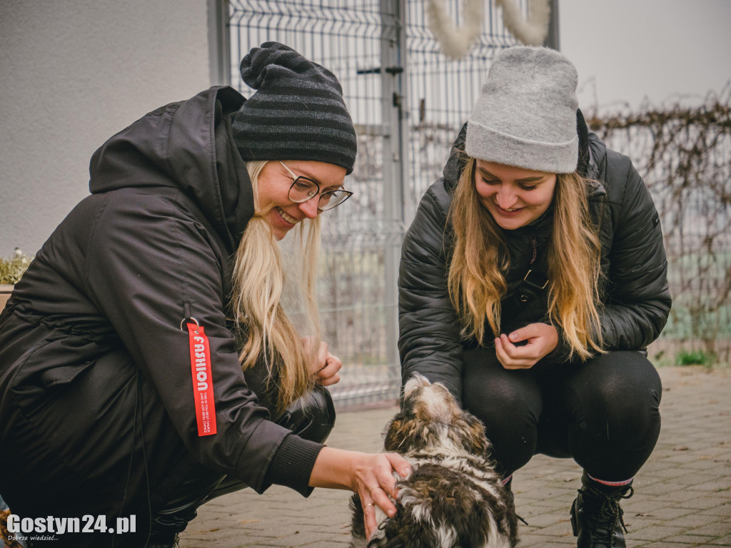 Mikołajki w Schronisku w Dalabuszkach
