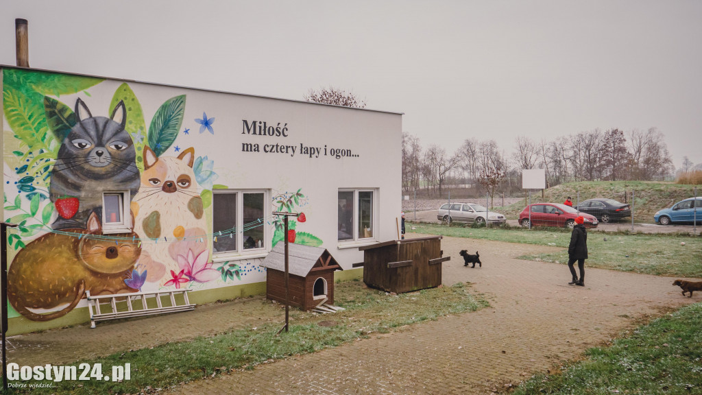 Mikołajki w Schronisku w Dalabuszkach