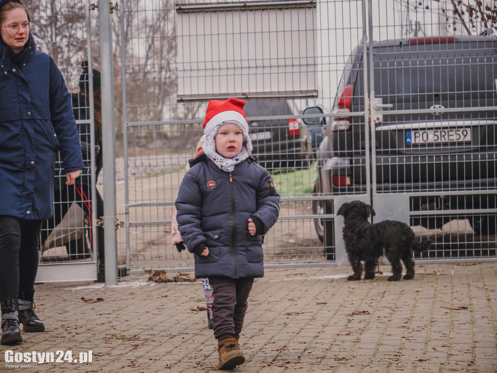 Mikołajki w Schronisku w Dalabuszkach
