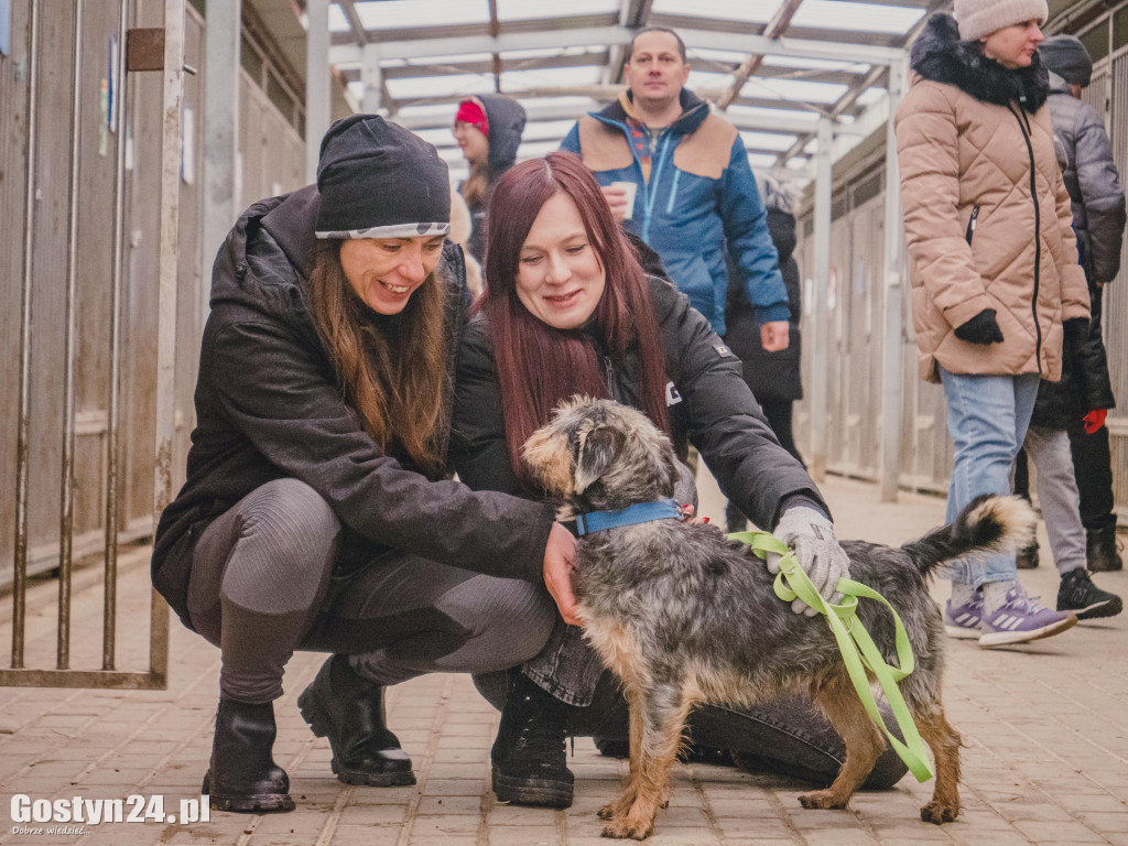 Mikołajki w Schronisku w Dalabuszkach