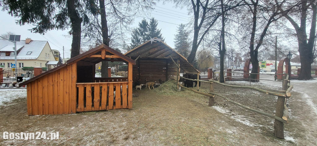 Przy kościele w Nieparcie stanęła żywa szopka