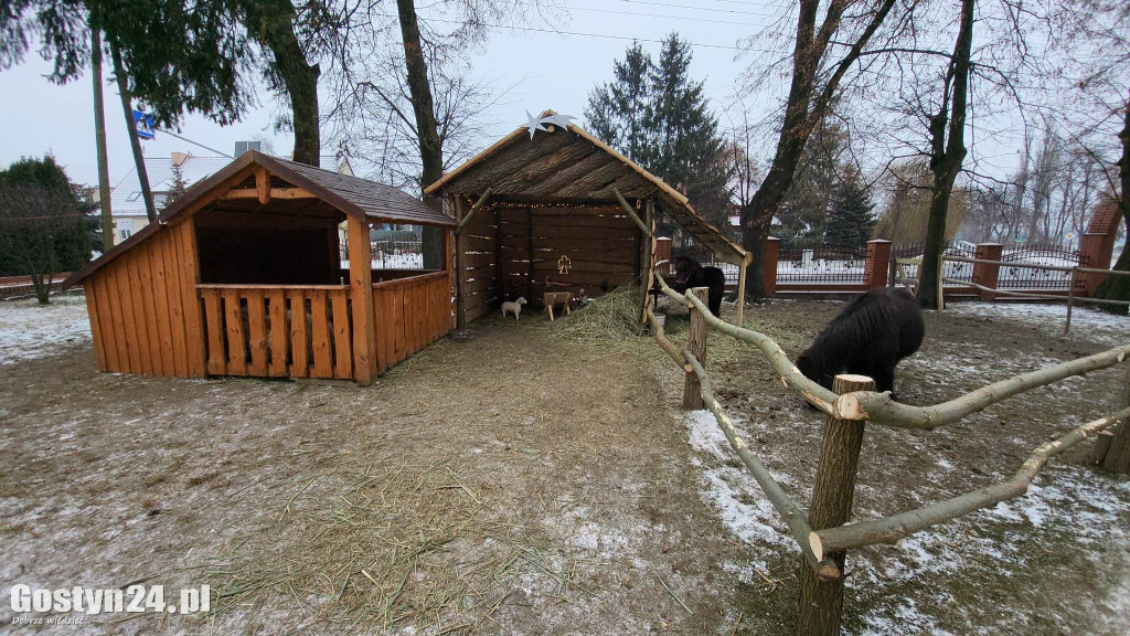 Przy kościele w Nieparcie stanęła żywa szopka