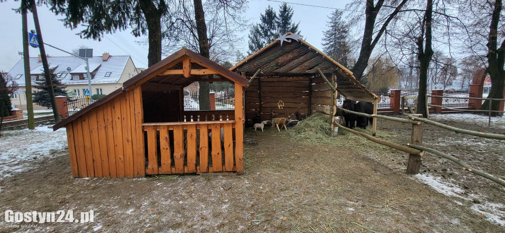 Przy kościele w Nieparcie stanęła żywa szopka