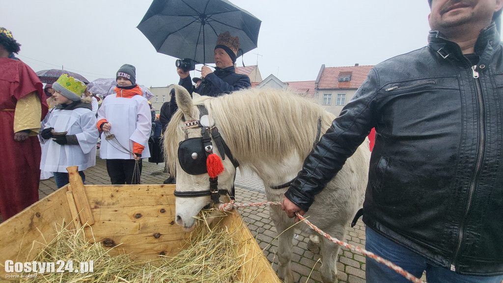 Orszaki Trzech Króli w Piaski-Strzelce Wielkie i Poniec