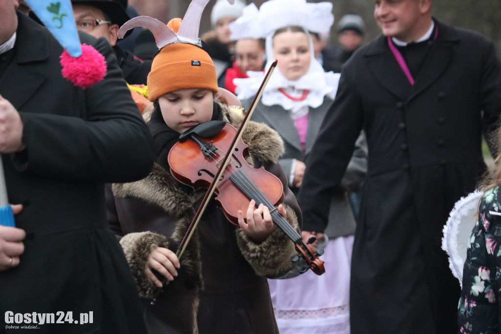 Kolędnicy odwiedzali mieszkańców Domachowa