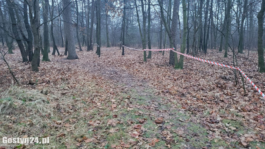 Przebudowa drogi gminnej w Piaskach i Drzęczewie Drugim