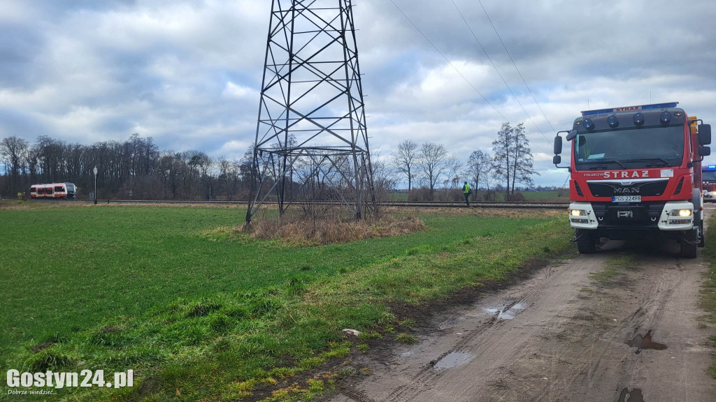 Szynobus uderzył w leżące na torach w drzewo