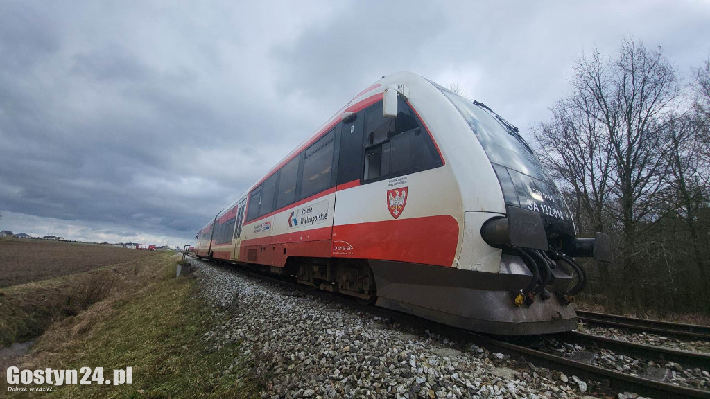Szynobus uderzył w leżące na torach w drzewo