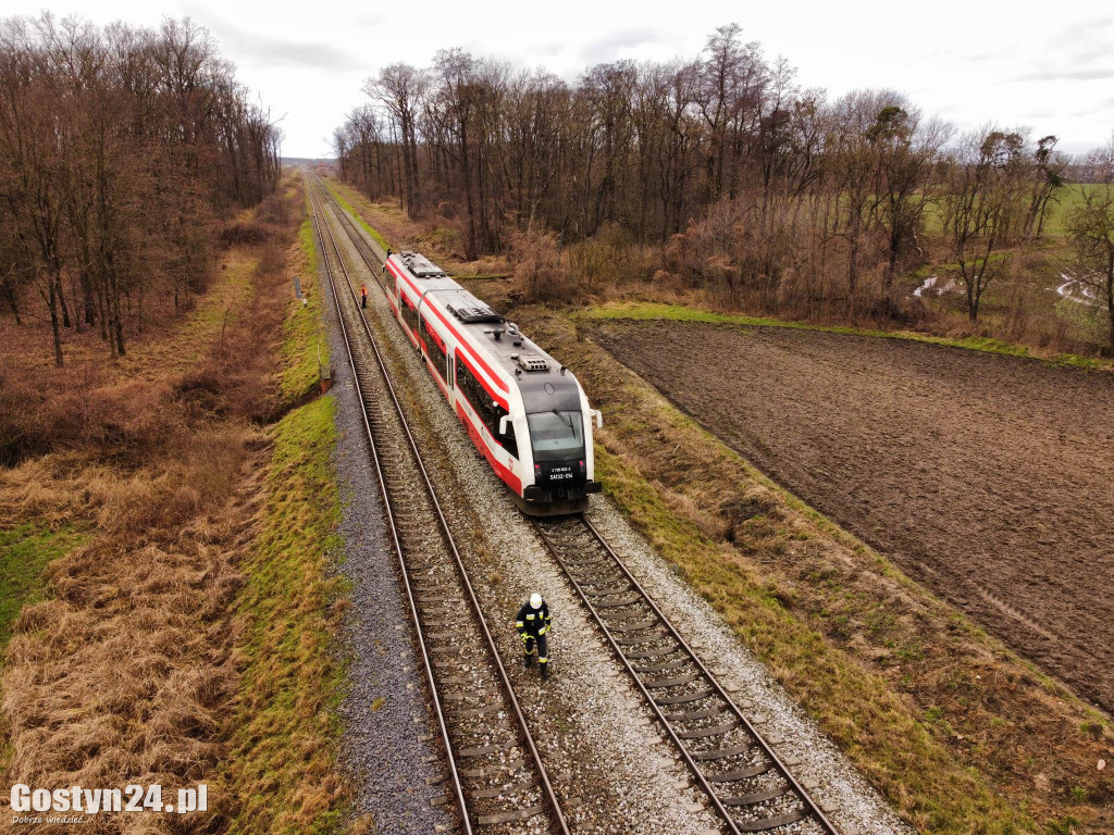 Szynobus uderzył w leżące na torach w drzewo
