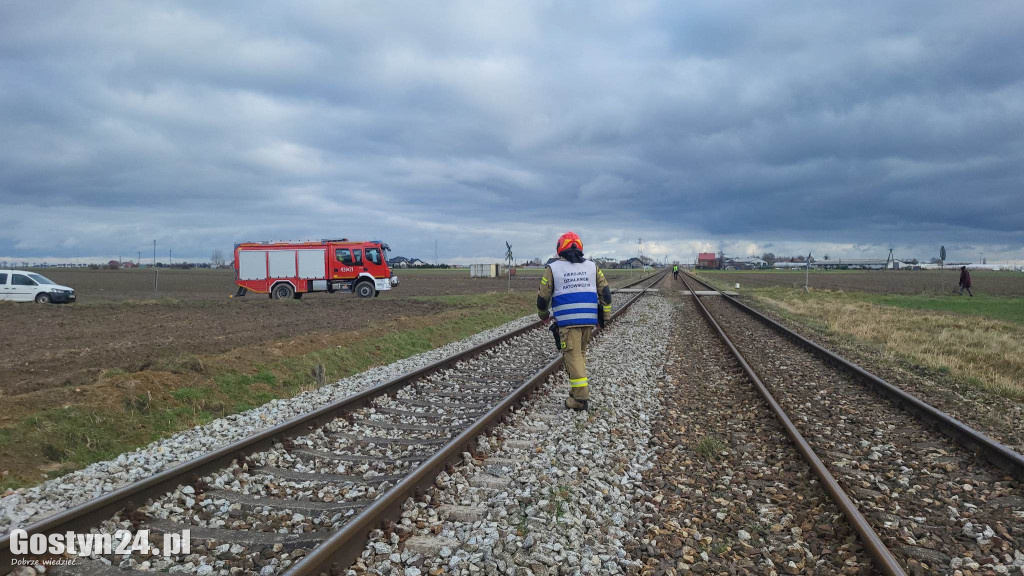 Szynobus uderzył w leżące na torach w drzewo