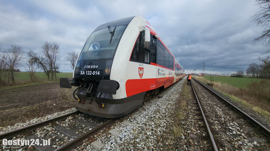 Szynobus uderzył w leżące na torach w drzewo
